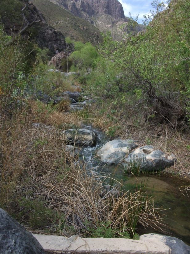 water sampling: Rio de Rancho San Carlos